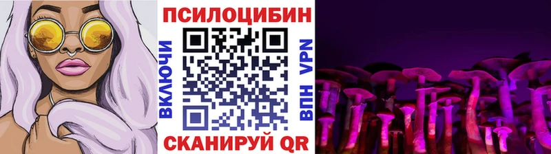 Галлюциногенные грибы ЛСД  Купить  Пудож 